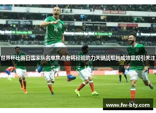 世界杯比赛日国家队名单焦点老将经验助力关键战取胜成效显现引关注 世界杯比赛日国家队名单焦点老将经验助力关键战取胜成效显现引关注